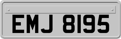 EMJ8195