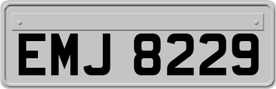 EMJ8229