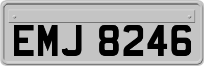 EMJ8246