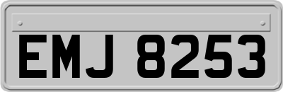 EMJ8253
