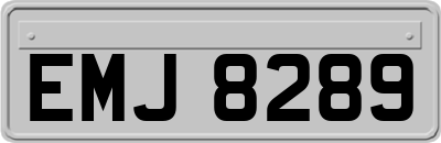 EMJ8289