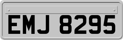 EMJ8295