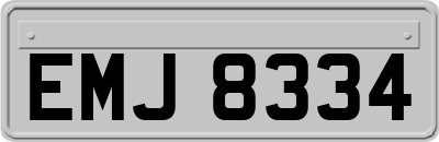 EMJ8334