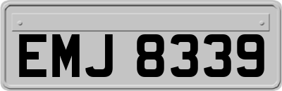 EMJ8339