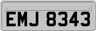 EMJ8343