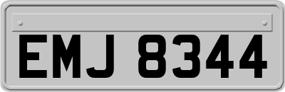 EMJ8344