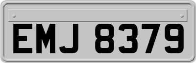 EMJ8379