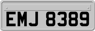 EMJ8389