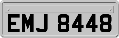 EMJ8448
