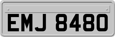 EMJ8480