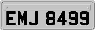 EMJ8499
