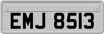 EMJ8513