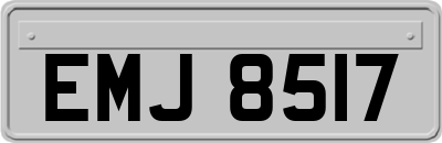 EMJ8517