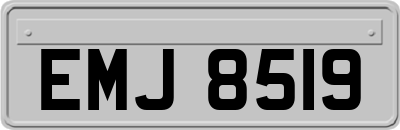 EMJ8519