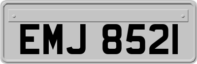 EMJ8521