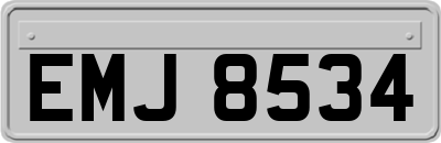 EMJ8534