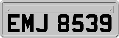 EMJ8539