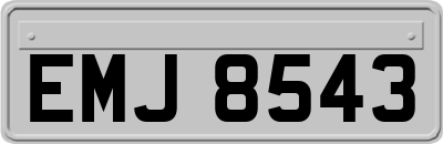 EMJ8543
