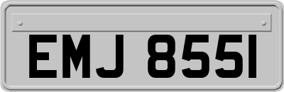 EMJ8551