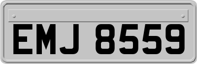EMJ8559