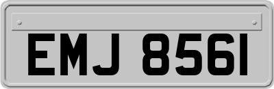 EMJ8561