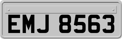 EMJ8563
