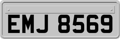EMJ8569