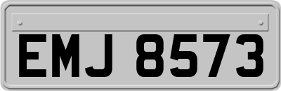 EMJ8573