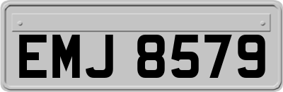 EMJ8579