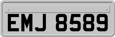 EMJ8589
