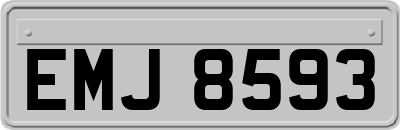 EMJ8593