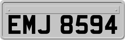 EMJ8594