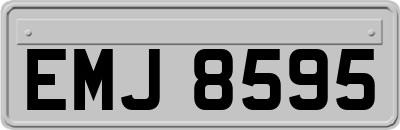 EMJ8595