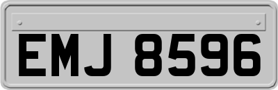 EMJ8596
