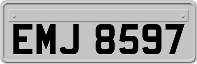 EMJ8597