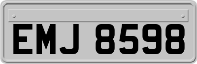 EMJ8598