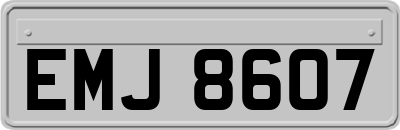 EMJ8607