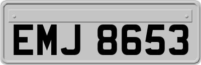 EMJ8653