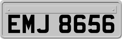 EMJ8656