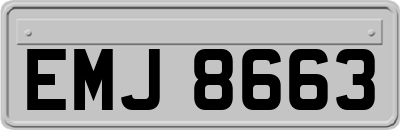 EMJ8663