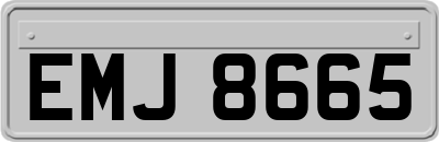 EMJ8665