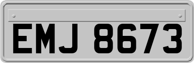 EMJ8673