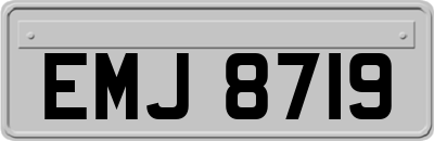 EMJ8719