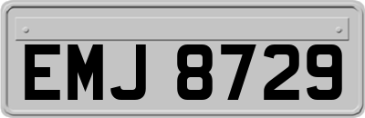 EMJ8729