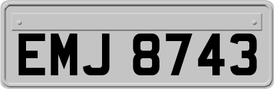 EMJ8743