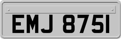 EMJ8751