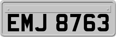EMJ8763