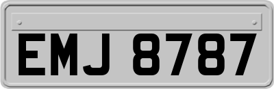 EMJ8787