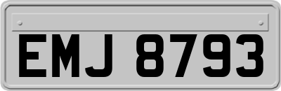 EMJ8793