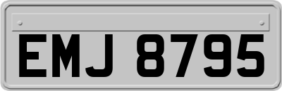 EMJ8795